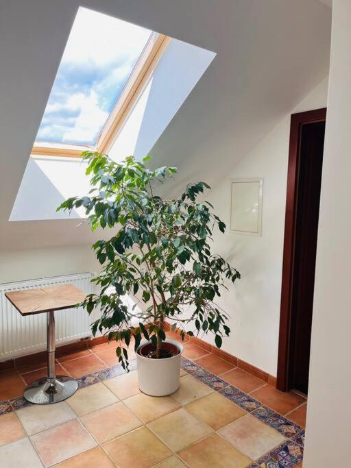 Apartman Se Zahradou 20 Minut Do Centra Prahy Ořech Esterno foto